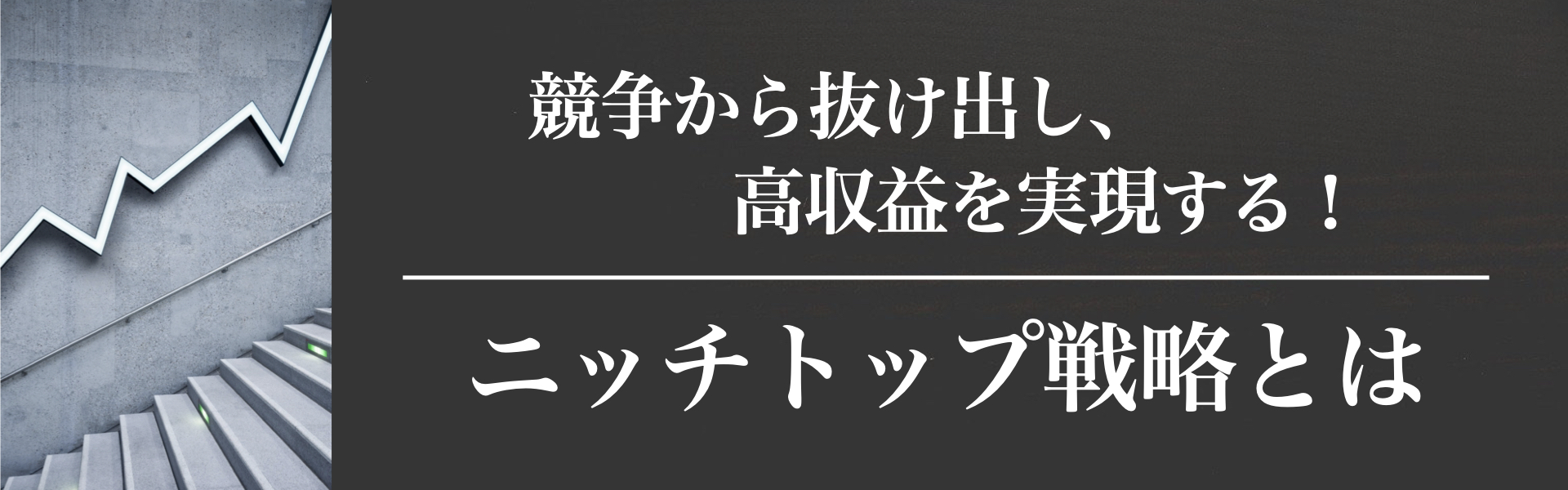 ニッチトップ戦略とは